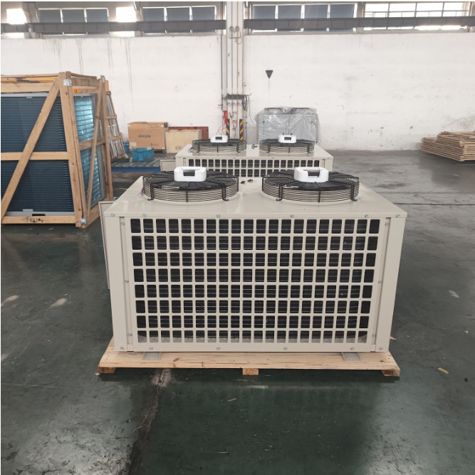 Classic U Cabin Type Freezer Room Condensing Unit R404A