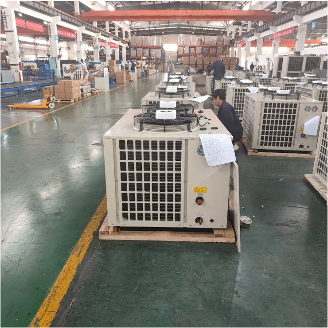 Classic U Cabin Type Freezer Room Condensing Unit R404A
