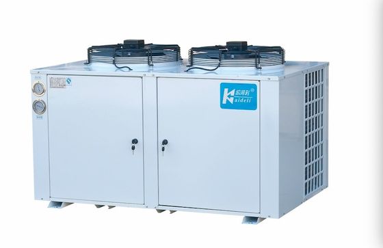 U Cabinetype Diepvriezerzaal Condenserend de Koeleenheidsr22 Koelmiddel van de Eenheids Koude Opslag