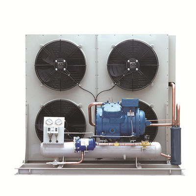 Copeland 5 OEM van de de Eenheidscompressor van PK 2hp Condenserende