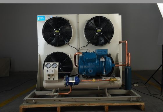 De Koude Zaal van Monoblock van vorsttemperaturen Condenserend Eenheids Koelsysteem voor Koude Opslag