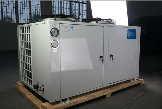 De Zaal van de diepvriezer het Condenserende Koelmiddel van de Eenheidscompressor 404a