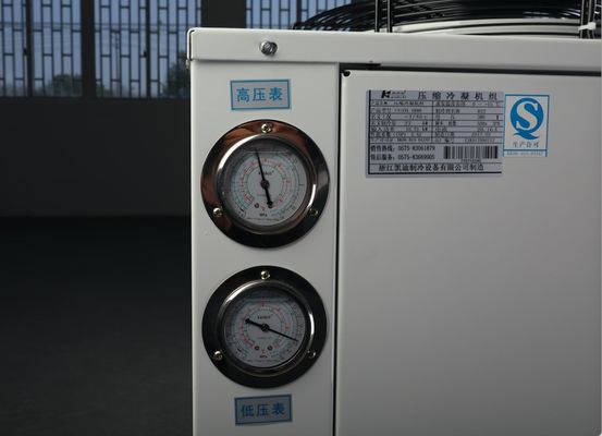 De Zaal van de Copelanddiepvriezer het Condenserende Koelmiddel van de Eenheidscompressor 404a