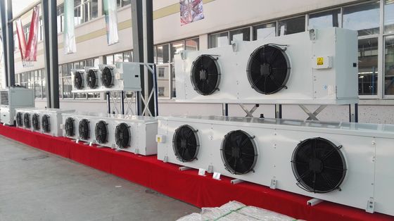 DD/DL/DJ reeks Draagbare Koude Zaal de Evaporatorrol van de Lucht Koelere Vin met Koperbuis