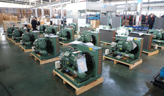 H Type Koelings Koude Zaal de Condenserende Compressor van de Eenheidszuiger